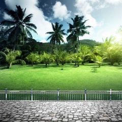 Palm Tree Rail Stone Road Photography Scenery Backdrop Nature Theme Banner BCE-707