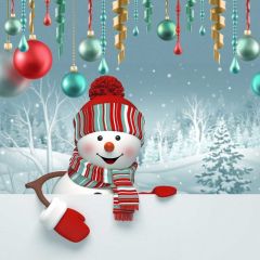 Christmas Ball Snowman Photography Scenery Backdrop Christmas Theme Banner BCE-713