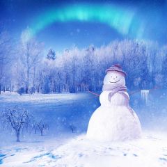 Fir Tree Snowman Aurora Photography Scenery Backdrop Snow Theme Banner BCE-716