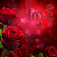 Wedding Red Rose Photography Scenery Backdrop Love Theme Banner BCE-721