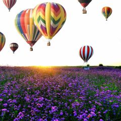 Lavender Balloon Photography Scenery Backdrop Nature Theme Banner BCE-722