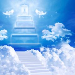 Clound Stairs Photography Scenery Backdrop Fantasy Theme Banner BCE-723