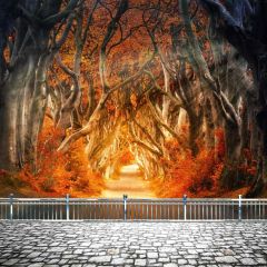 Lush Forest Rail Path Photography Scenery Backdrop Forest Theme Banner BCE-731