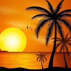 Sunset Palm Tree Sea Photography Scenery Backdrop Ocean Theme Banner BCE-732