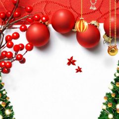 Red Ball Mistletoe Flower Photography Scenery Backdrop Christmas Theme Banner BCE-735
