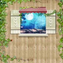 Window Leaves Beetel Photography Scenery Backdrop Wall Theme Banner BCE-740