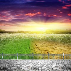 Flower Light Rail Photography Scenery Backdrop Flowers Theme Banner BCE-742