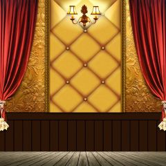 Curtain Light Wooden Floor Photography Scenery Backdrop Stage Carpet Theme Banner BCE-744