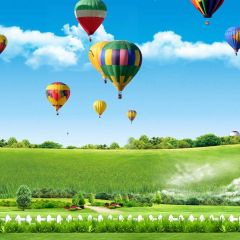 Nature Pasture Fence Balloon Photography Scenery Backdrop Nature Theme Banner BCE-745