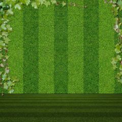 Leaves Grassland Meadow Photography Scenery Backdrop Forest Theme Banner BCE-758