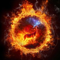 Christmas Reindeer Fire Photography Scenery Backdrop Christmas Theme Banner BCE-761