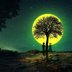 Wedding Tree Moon Photography Scenery Backdrop Love Theme Banner BCE-763