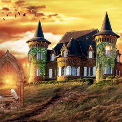 Castle Grass Sky Photography Scenery Backdrop Architectural Theme Banner BCE-764