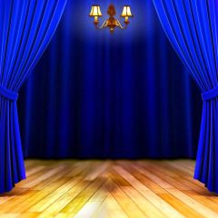 Curtain Floor Light Photography Scenery Backdrop Stage Carpet Theme Banner BCE-766