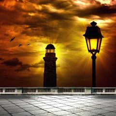 Light Animal Sky Photography Scenery Backdrop Terrace Scenery Theme Banner BCE-778