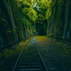 Lush Forest Road Green Photography Scenery Backdrop Forest Theme Banner BCE-780