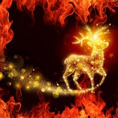 Reindeer Fire Glowing Spot Photography Scenery Backdrop Christmas Theme Banner BCE-783