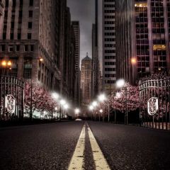 City Street Tree Light Photography Scenery Backdrop Streetscape Theme Banner BCE-784
