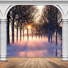 Pillars Snow Light Birch Photography Scenery Backdrop Arches or Pillars Theme Banner BCE-796