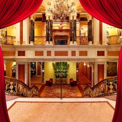 Indoor View Plant Light Photography Scenery Backdrop Indoor Theme Banner BCE-802