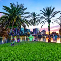 Palm Tree Grassy River Photography Scenery Backdrop Forest Theme Banner BCE-803