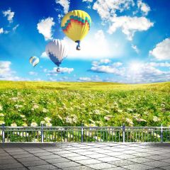 Flower Balloon Rail Floor Photography Scenery Backdrop Flowers Theme Banner BCE-810