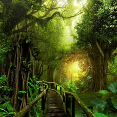 Jungle Bridge Light Photography Scenery Backdrop Forest Theme Banner BCE-812