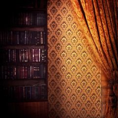 Bookshelf Curtain Photography Scenery Backdrop Bookshelf Theme Banner BCE-819