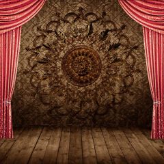 Red Curtain Wooden Floor Photography Scenery Backdrop Stage Carpet Theme Banner BCE-820