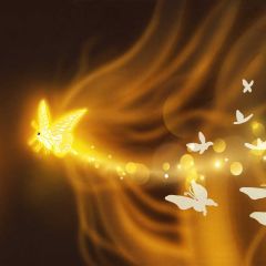 Insect Light Butterfly Photography Scenery Backdrop Nature Theme Banner BCE-821