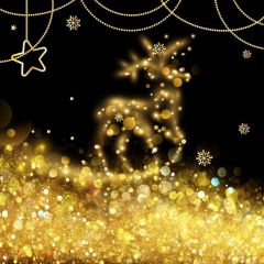 Christmas Reindeer Light Spot Photography Scenery Backdrop Christmas Theme Banner BCE-831