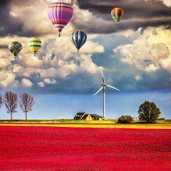 Flower Field Balloon Windmill Photography Scenery Backdrop Flowers Theme Banner BCE-848