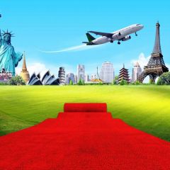 Red Carpet Grass Plane Photography Scenery Backdrop Landmark Theme Banner BCE-864