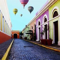 Street Plant Balloon Photography Scenery Backdrop Streetscape Theme Banner BCE-877