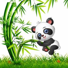 Bamboo Animal Grassland Photography Scenery Backdrop Nature Theme Banner BCE-892