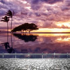 Coloful Sky Tree Sea Photography Scenery Backdrop Ocean Theme Banner BCE-894