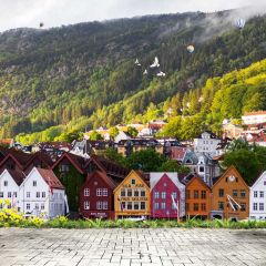 Woods House Stone Floor Photography Scenery Backdrop Nature Theme Banner BCE-902