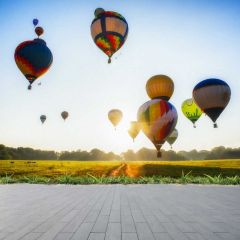 Floor Balloon Grass Photography Scenery Backdrop Nature Theme Banner BCE-906