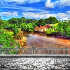 Nature Tree House Photography Scenery Backdrop Nature Theme Banner BCE-908