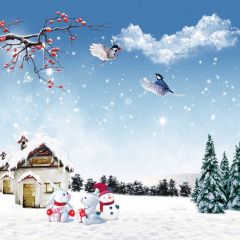 Snow Hare Animal Holly Photography Scenery Backdrop Snow Theme Banner BCE-912