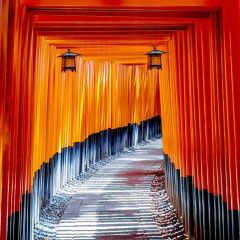 Light Lane Photography Scenery Backdrop Road Theme Banner BCE-934