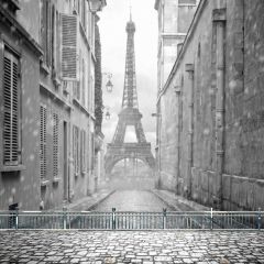 Tower Rail Floor Photography Scenery Backdrop Landmark Theme Banner BCE-940