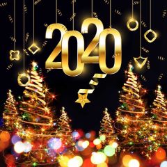 2020 Holly Lightspot Photography Scenery Backdrop Festival Celebration Theme Banner BCE-979