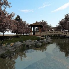 Tree Water Bridge Pavilion Photography Scenery Backdrop Nature Theme Banner BVU-017