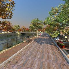 Tree Bridge Water Road Photography Scenery Backdrop Nature Theme Banner BVU-018