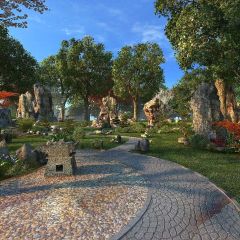 Tree Rockery Cobblestone Route Photography Scenery Backdrop Nature Theme Banner BVU-019