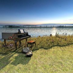Grass Sea Piano Chair Bridge Photography Scenery Backdrop Ocean Theme Banner BVU-024