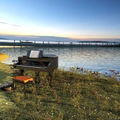 Sea Bridge Plant Piano Chair Stone Photography Scenery Backdrop Ocean Theme Banner BVU-025