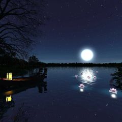 Moon Light Boat Sea Flower Photography Scenery Backdrop Night Theme Banner BVU-026