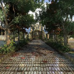 Road Fallen Leaves Tree Arch Photography Scenery Backdrop Streetscape Theme Banner BVU-031